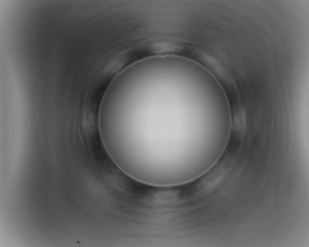 X0000113920426200910011516