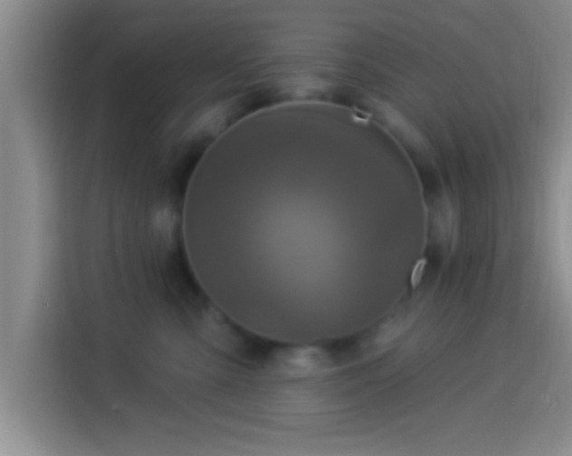 X0000113920427200910011516