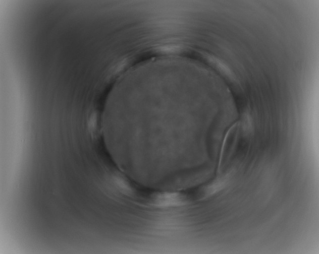 X0000113920428200910011516