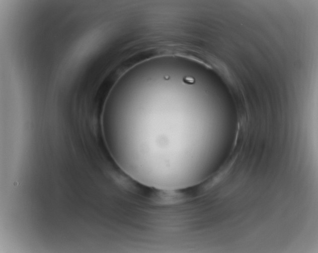 X0000113920429200910011516
