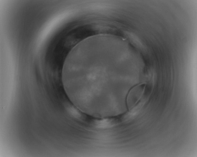 X0000113920430200910011516