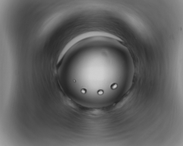 X0000113920431200910011516