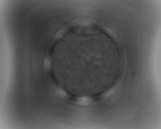 X0000113920432200910011516