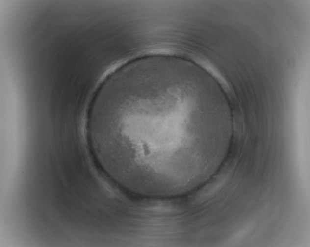X0000113920434200910011515