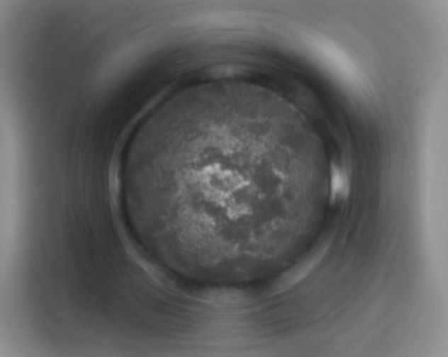 X0000113920435200910011515