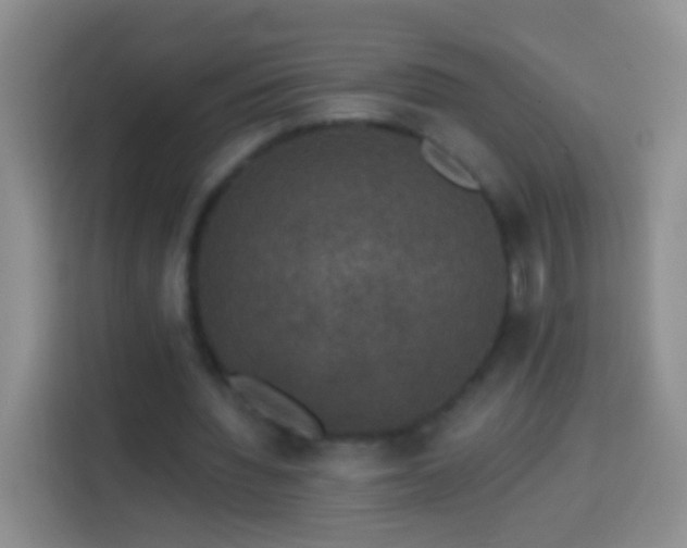 X0000113920436200910011515