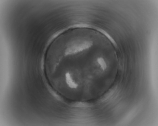 X0000113920437200910011515