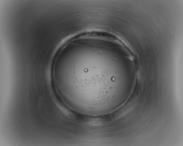 X0000113920438200910011515
