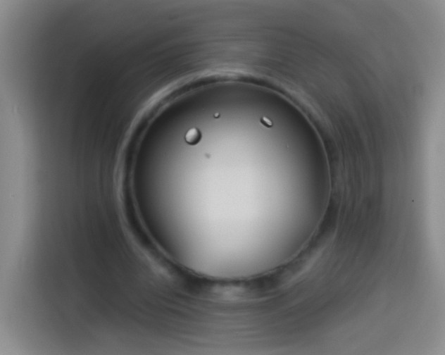 X0000113920440200910011515