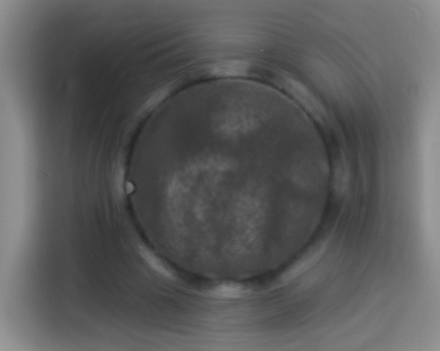 X0000113920441200910011515