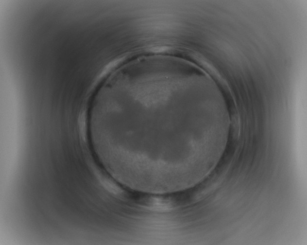 X0000113920442200910011515