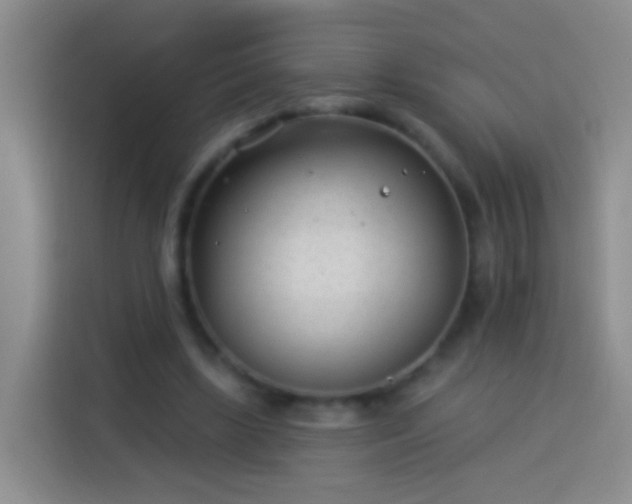 X0000113920443200910011515