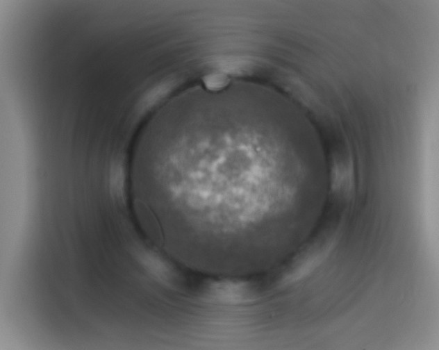 X0000113920444200910011515