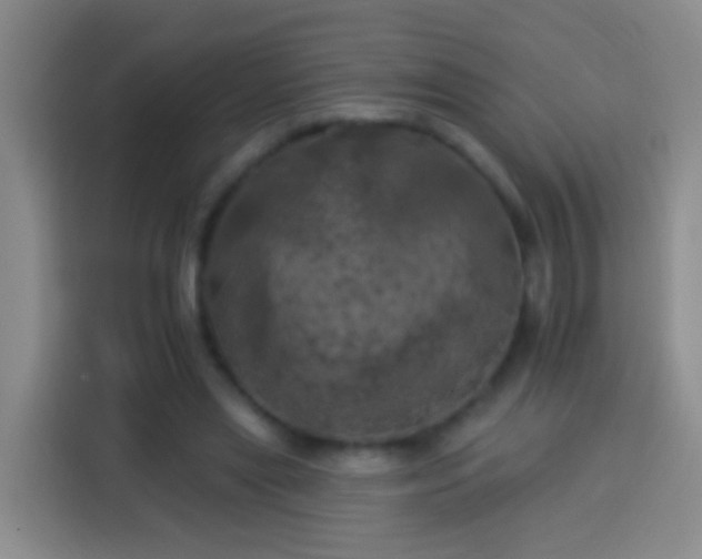 X0000113920445200910011515