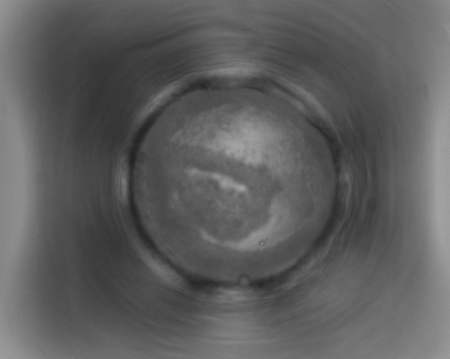 X0000113920446200910011515