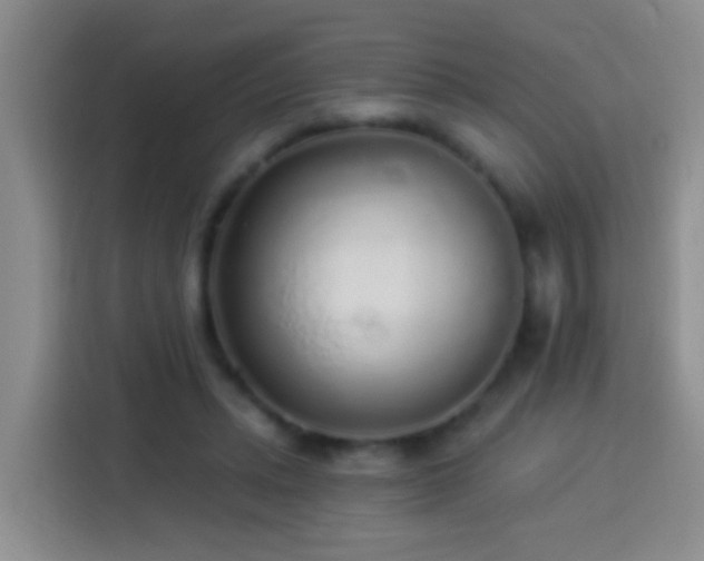 X0000113920447200910011515