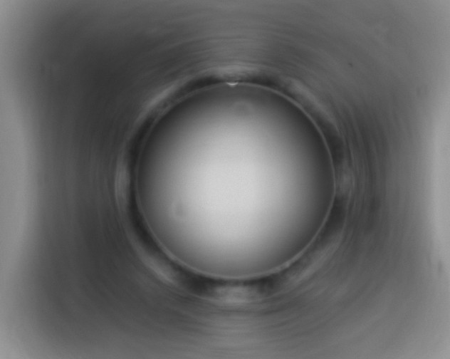 X0000113920448200910011515