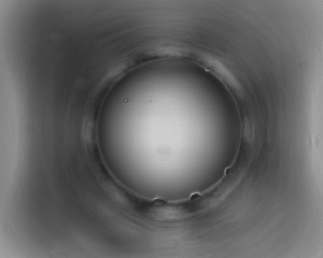 X0000113920449200910011515