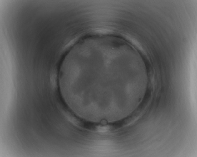 X0000113920450200910011515