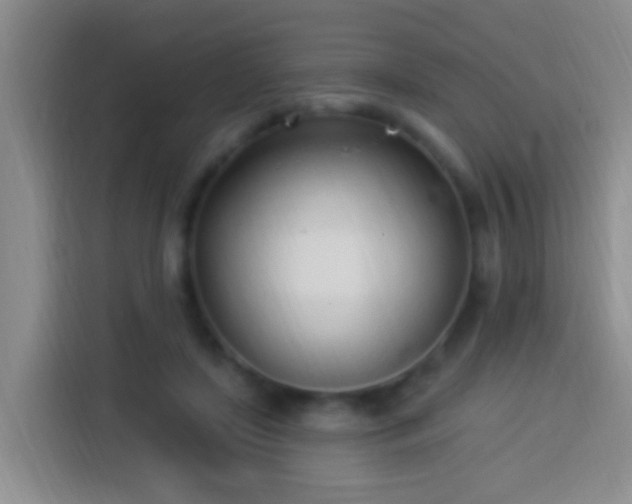 X0000113920451200910011515