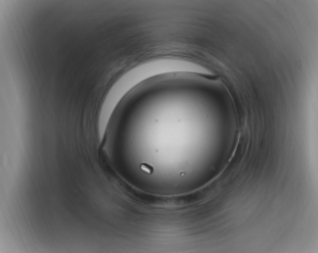 X0000113920452200910011515
