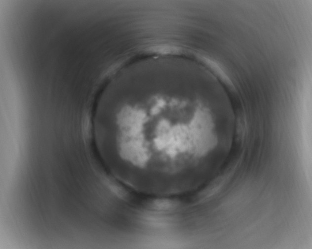 X0000113920453200910011515