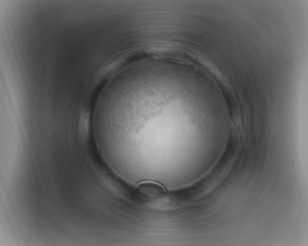 X0000113920454200910011515