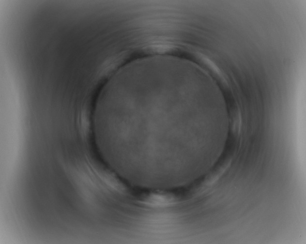 X0000113920455200910011515