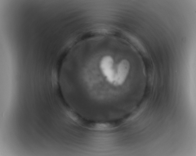 X0000113920457200910011515
