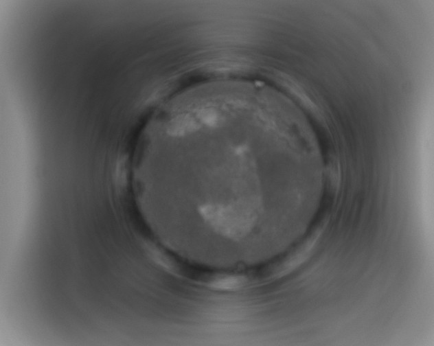 X0000113920458200910011515