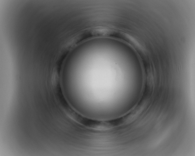 X0000113920459200910011515