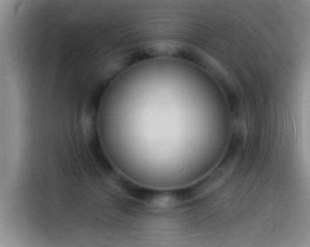 X0000113920460200910011515