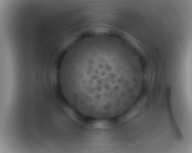 X0000113920462200910011515