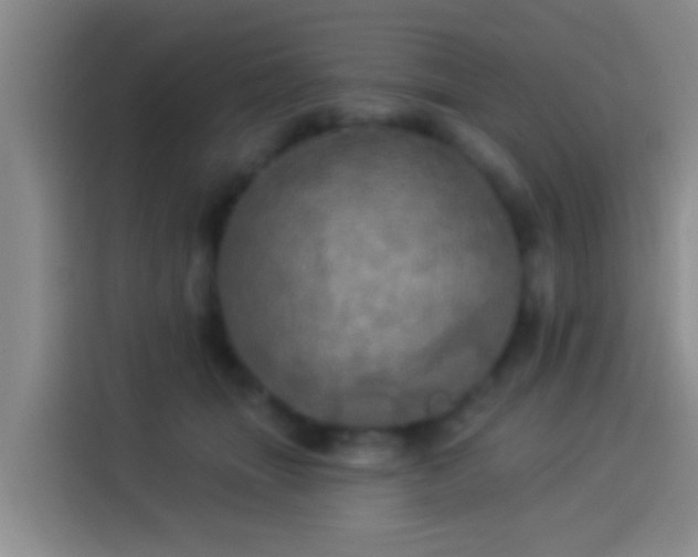 X0000113920463200910011515