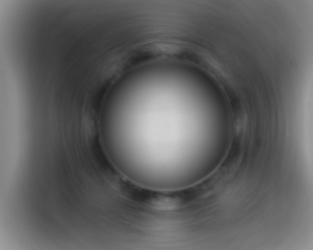 X0000113920464200910011515