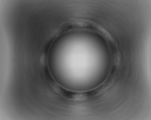 X0000113920465200910011515