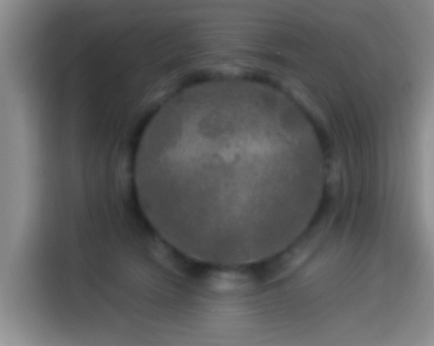 X0000113920466200910011515