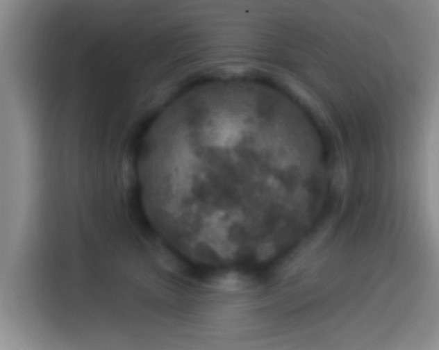 X0000113920467200910011515