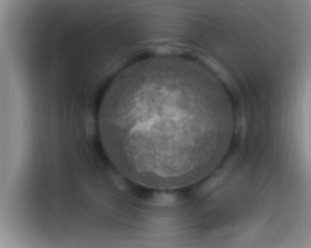 X0000113920469200910011515