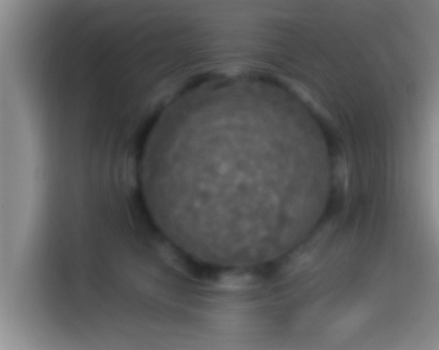 X0000113920470200910011515