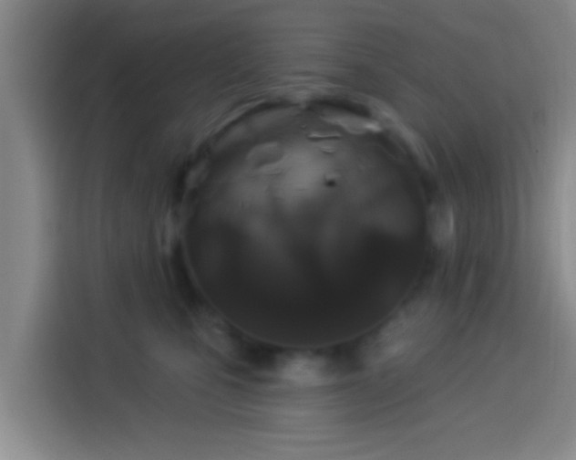 X0000113920471200910011515