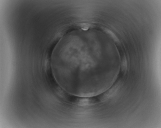 X0000113920473200910011515