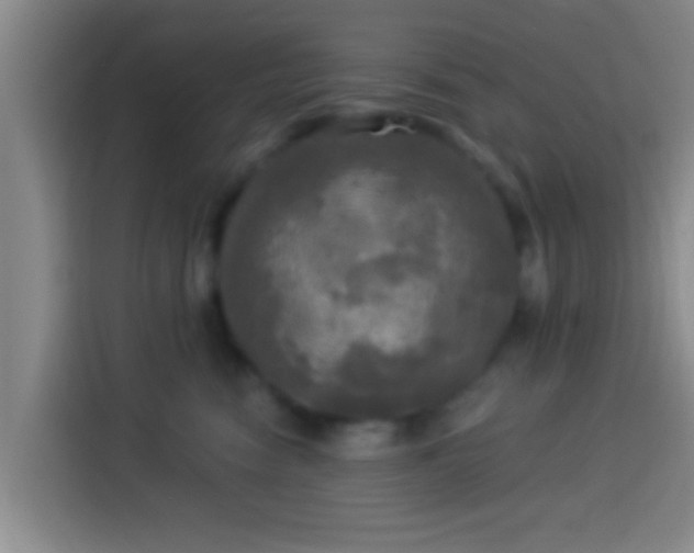 X0000113920474200910011515