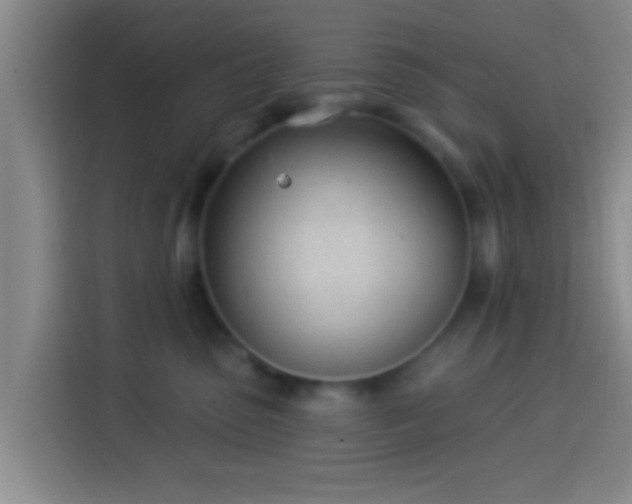 X0000113920475200910011516