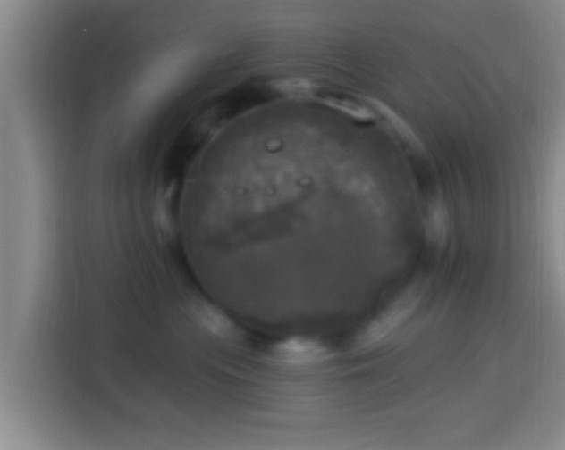 X0000113920477200910011516