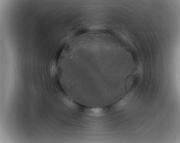 X0000113920478200910011516