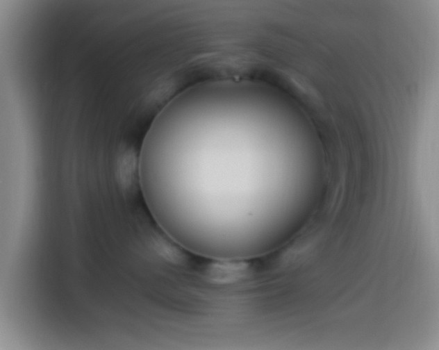 X0000113920480200910011516
