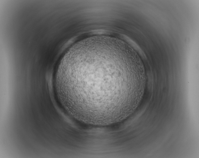 X0000113920482200910011515