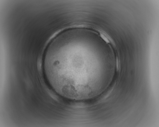 X0000113920483200910011515