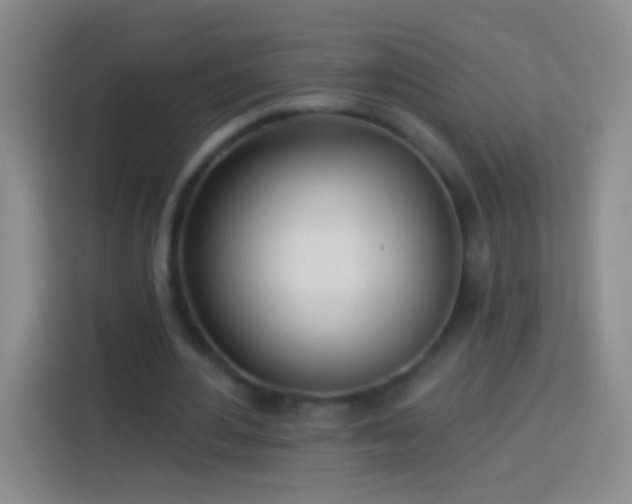 X0000113920484200910011515